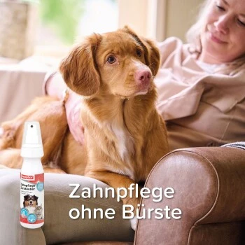 Beaphar Zahnpflege Zerstäuber Spray 150 Ml – Bild 3