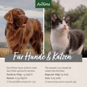 Aniforte Teufelskralle Pulver 250 G – Bild 3