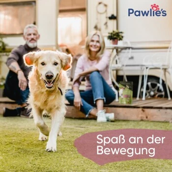 Pawlie's Gelenk Fit Tabletten Hund (100 Stück) – Bild 5