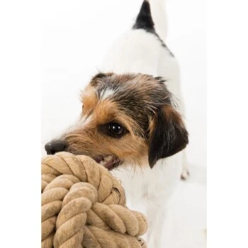 Trixie BE NORDIC Tau-Ball 18cm – Bild 4