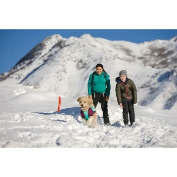 Ruffwear Gnawt-a-Stick™ Spielzeug Blau – Bild 8