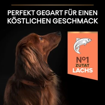 PRO PLAN Optiderma Small & Mini Adult Sensitive Skin 3 Kg – Bild 6