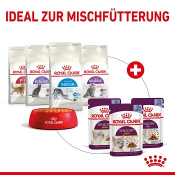 ROYAL CANIN SENSORY Smell In Gelee Für Wählerische Katzen 12x85g – Bild 4