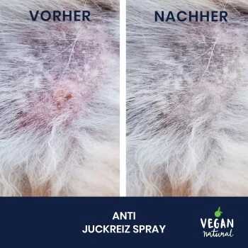 Pawlie's Juckreiz Spray Hunde & Katzen – Bild 5