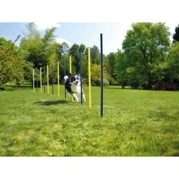 AniOne Agility Slalomstangen – Bild 3