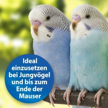 Quiko Plus 400 G: Extra Proteine Für Jungvögel – Bild 4