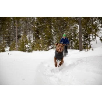 Ruffwear Climate Changer™ Fleece-Pullover Für Hunde Rot S – Bild 5