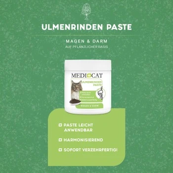 MediCat Ulmenrinde Paste – Bild 4