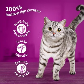 Whiskas Mega Pack 1+ Klassische Auswahl In Sauce 40 X 85g – Bild 4
