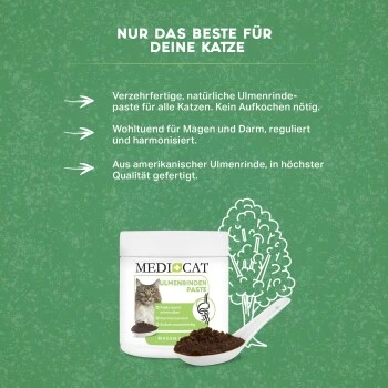MediCat Ulmenrinde Paste – Bild 3