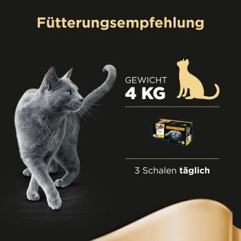 Sheba Selection In Sauce 32x85g – Bild 6
