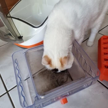 THOMAS Staubsauger – Bild 5