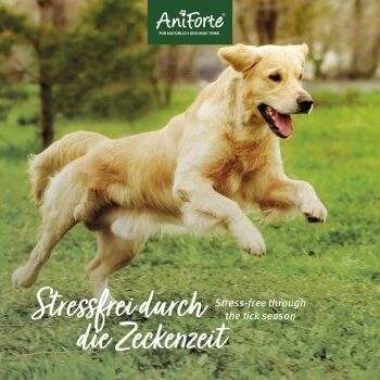 Aniforte Zecken Schild (10 Bis 35kg) Für Hunde 60 Kapseln – Bild 4