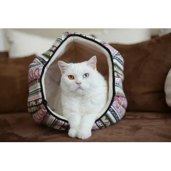 Canadian Cat Company Katzentunnel LUNA M – Bild 2