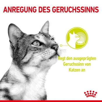 ROYAL CANIN SENSORY Smell In Gelee Für Wählerische Katzen 12x85g – Bild 7