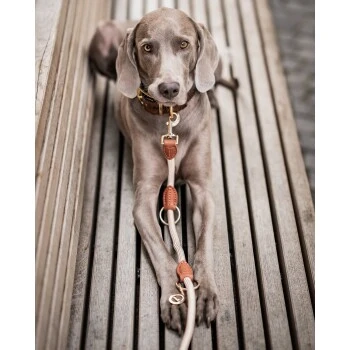 Freudentier Führleine 2m & 3-fach Verstellbar – Bild 5