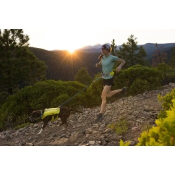 Ruffwear Trail Runner™ Laufgurt Limonen Gelb L-XL – Bild 7