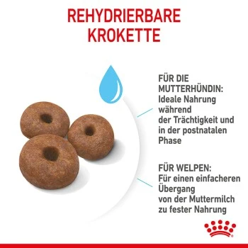 ROYAL CANIN Giant Starter 15kg – Bild 3