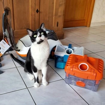 THOMAS Staubsauger – Bild 7