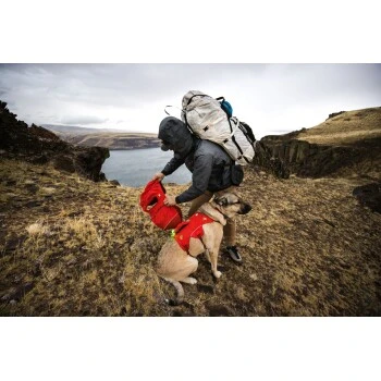 Ruffwear Palisades™ Hunderucksack S – Bild 11