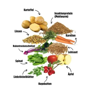 Eat Small EatSmall 3x2kg Trockenfutter Balance Mini – Bild 5