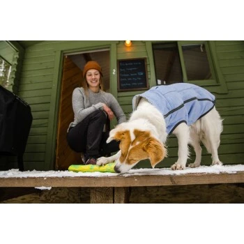 Ruffwear Gnawt-a-Stick™ Spielzeug Blau – Bild 7