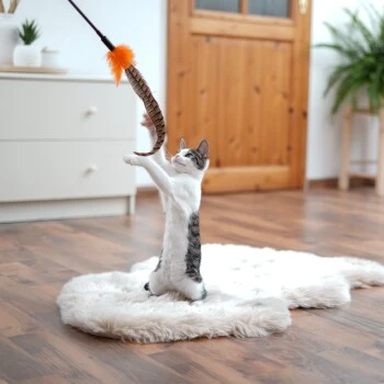 Schlitzohr Federwedel Birdy 3er Pack – Bild 3