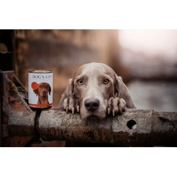 DOG'S LOVE Adult Classic 6x400g Rind Mit Apfel & Spinat – Bild 2