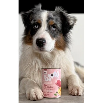 WOW Junior 6x400g Rind Mit Kürbis – Bild 2