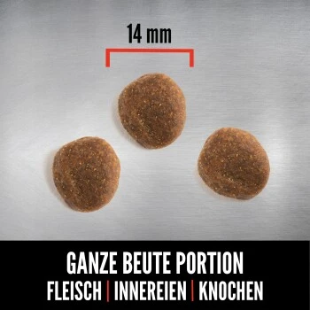 Orijen Six Fish 2 Kg – Bild 2