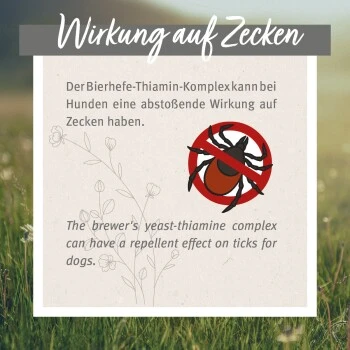 Aniforte Zecken Schild (10 Bis 35kg) Für Hunde 60 Kapseln – Bild 6