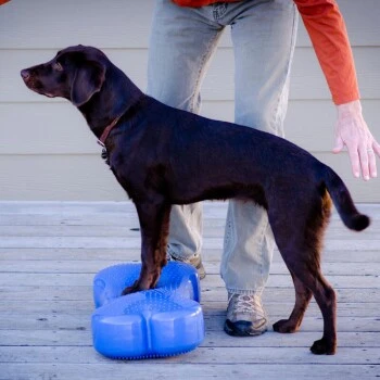 Altranet FitPAWS K9FITbone – Bild 2