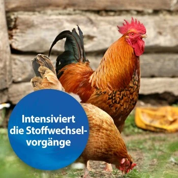 Quiko Plus 400 G: Extra Proteine Für Jungvögel – Bild 2