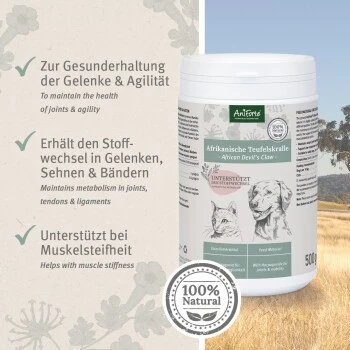 Aniforte Teufelskralle Pulver 250 G – Bild 5