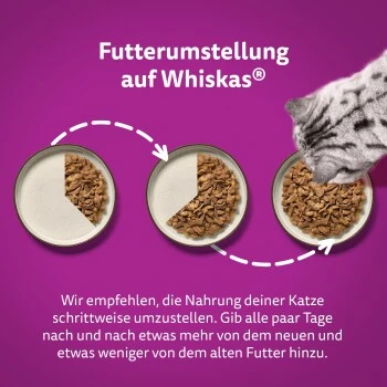 Whiskas Pure Delight Mega Pack Geflügel Ragout In Gelee 40 X 85g – Bild 4