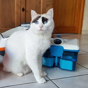 THOMAS Staubsauger – Bild 4