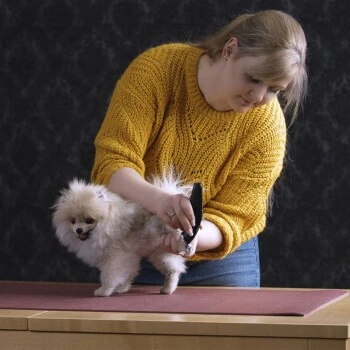 Moser Schermaschine Prima – Bild 2