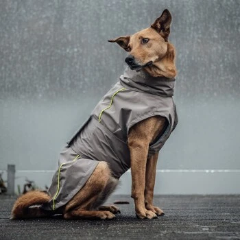 THE DOG IDEA Regenmantel Duke Greige XXXS – Bild 6