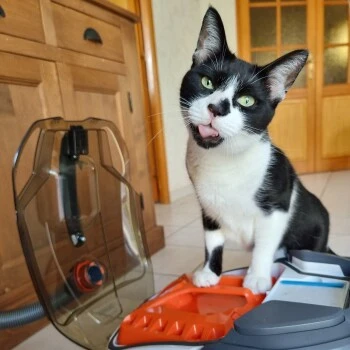 THOMAS Staubsauger – Bild 6