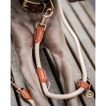 Freudentier Führleine 2m & 3-fach Verstellbar – Bild 6