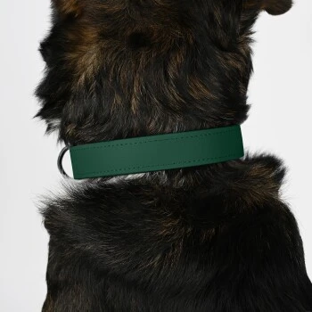 THE DOG IDEA Biothane Halsband Dunkelgrün XS – Bild 3