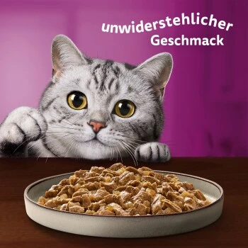 Whiskas Pure Delight Mega Pack Geflügel Ragout In Gelee 40 X 85g – Bild 9